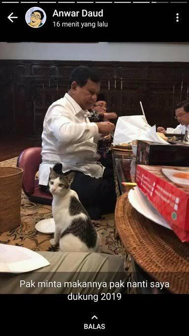 Kucing Kesayangan Prabowo Bikin Netizen Kepincut
