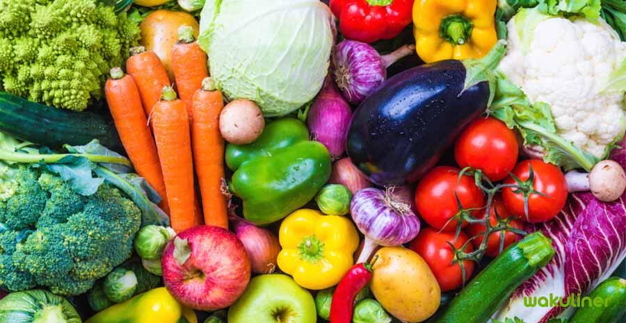 Apa Perbedaan Antara Vegan Dan Vegetarian?