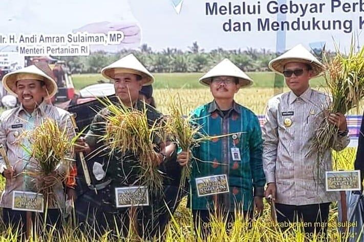 Kementan: Peningkatan Mutu Benih Penting untuk Dorong Produksi Tanaman Pangan