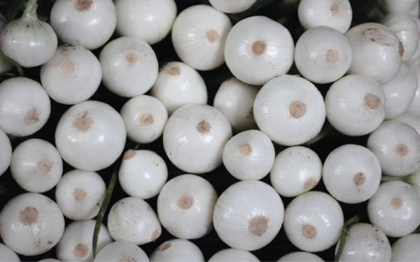 Bukan Cuma Buat Masak, Bawang Putih Bisa Percantik Kulitmu