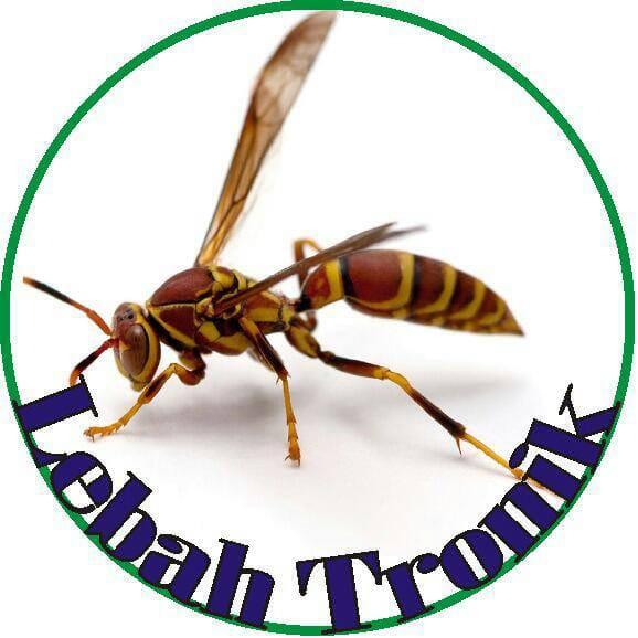 Pulsa Lebah Tronik