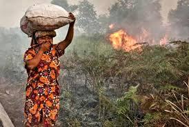 Pengelola Hutan Wajib Laksanakan Kegiatan Pengendalian Karhutla