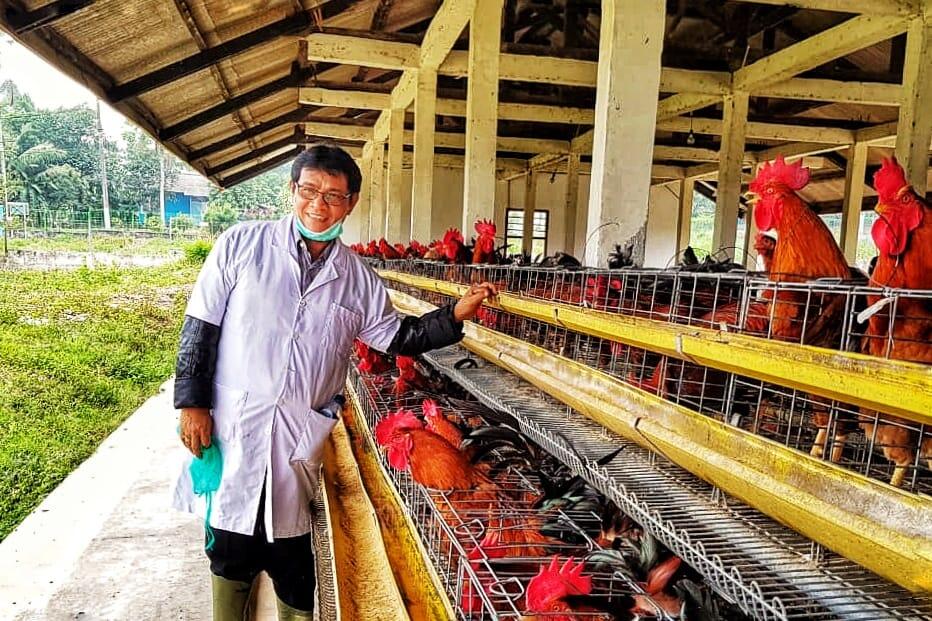 Dua Sertifikasi Ini Kunci Sukses Ekspor Telur Tetas dan Daging Ayam Olahan