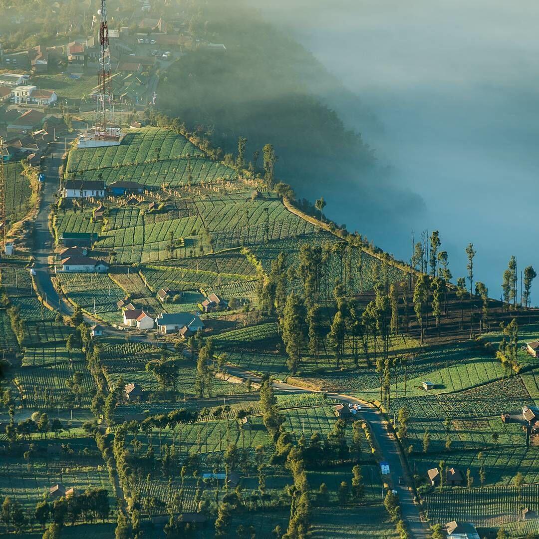 10 Potret Kawasan Taman Nasional Bromo Ini Bikin Kamu Takjub!