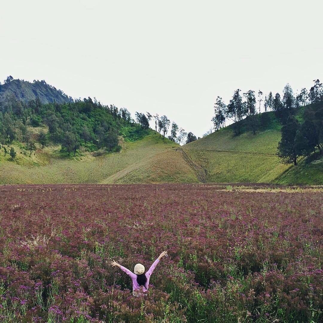 10 Potret Kawasan Taman Nasional Bromo Ini Bikin Kamu Takjub!