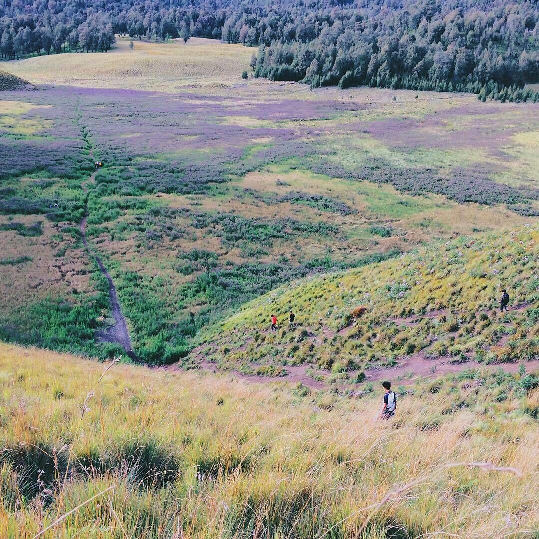 10 Potret Kawasan Taman Nasional Bromo Ini Bikin Kamu Takjub!