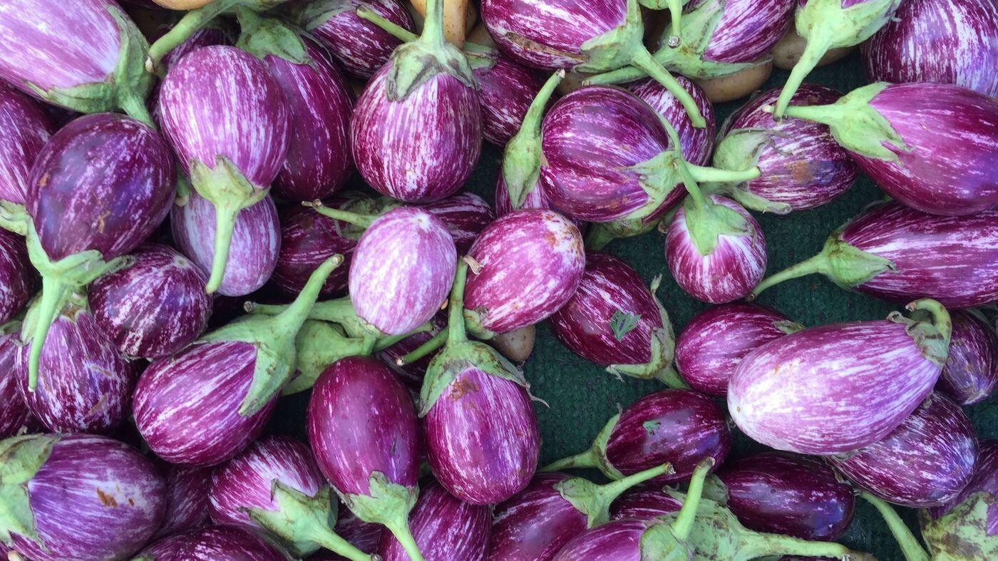 Enak Sih, tapi 10 Makanan Ini Sebaiknya Dihindari Golongan Darah O