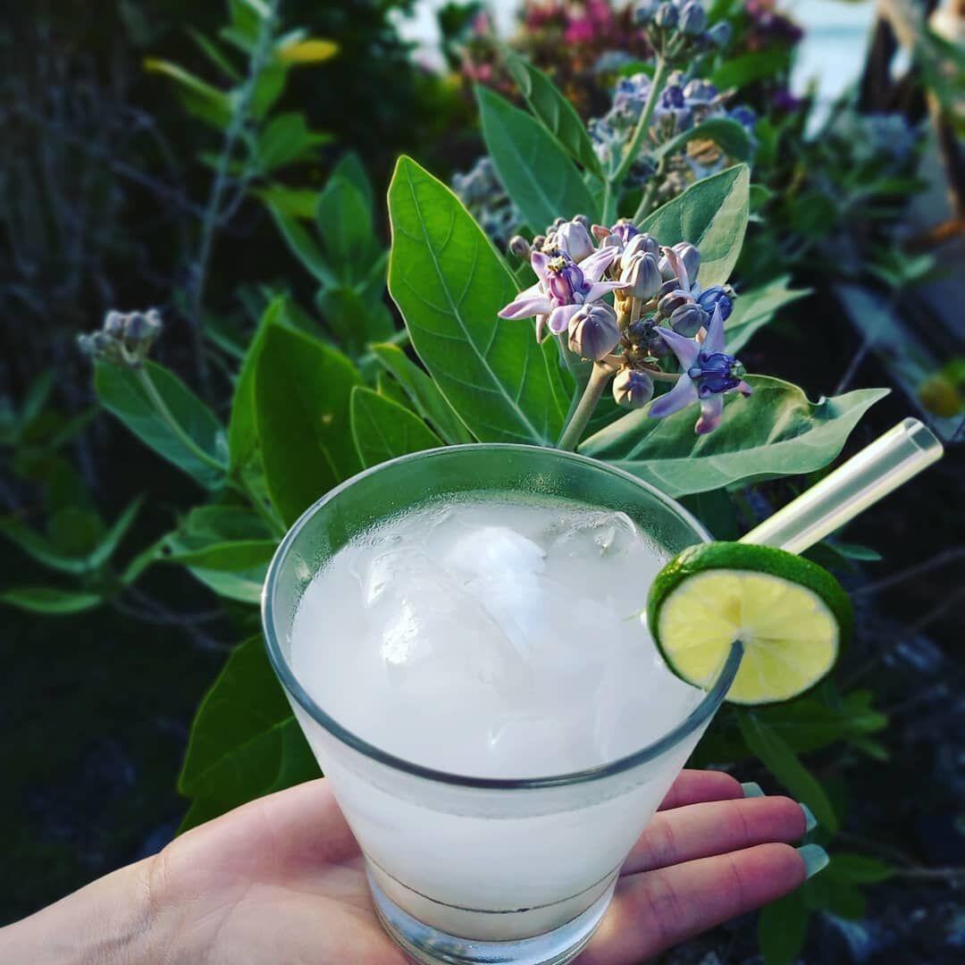 7 Minuman Dingin Khas Bali Ini Segarnya Nempel Seharian, Adem!