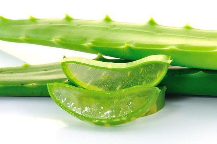 11 Cara Alami untuk Mencegah dan Mengobati Rambut Rontok, Yuk Coba!
