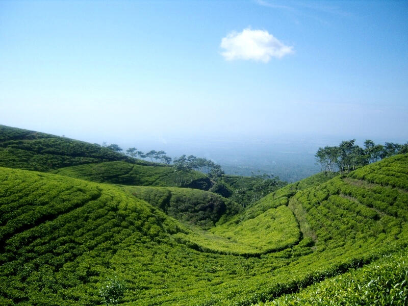8 Wisata Asyik di ke Lumajang, Ternyata Banyak Spot yang Hits Lho!
