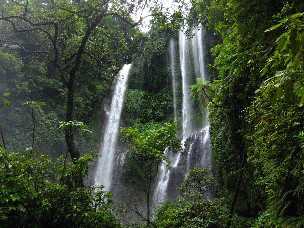 7 Air Terjun Tertinggi di Bali yang Menakjubkan, Sudah Pernah Lihat?