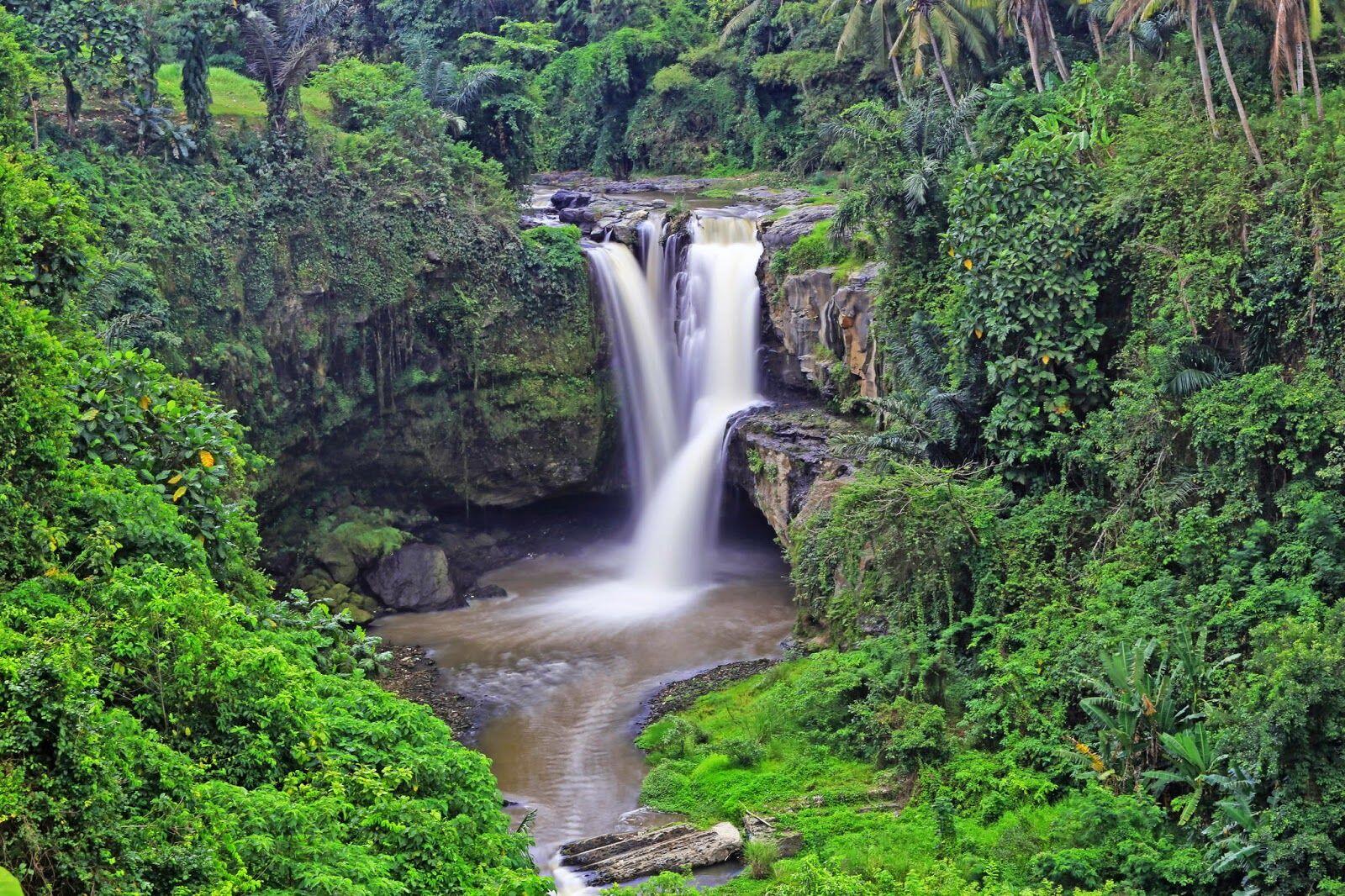 6 Destinasi Wisata Kece di Ubud Ini Siap Merefresh Pikiranmu