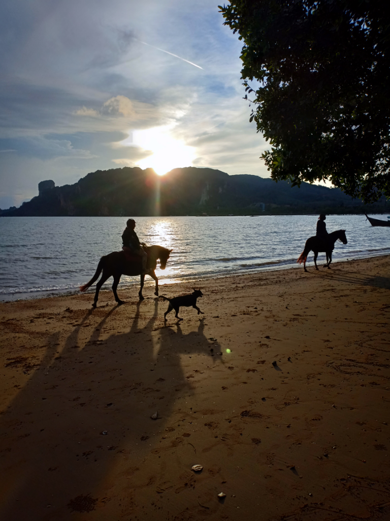 Backpacker Couple Penang - Krabi (PhiPhi Island)
