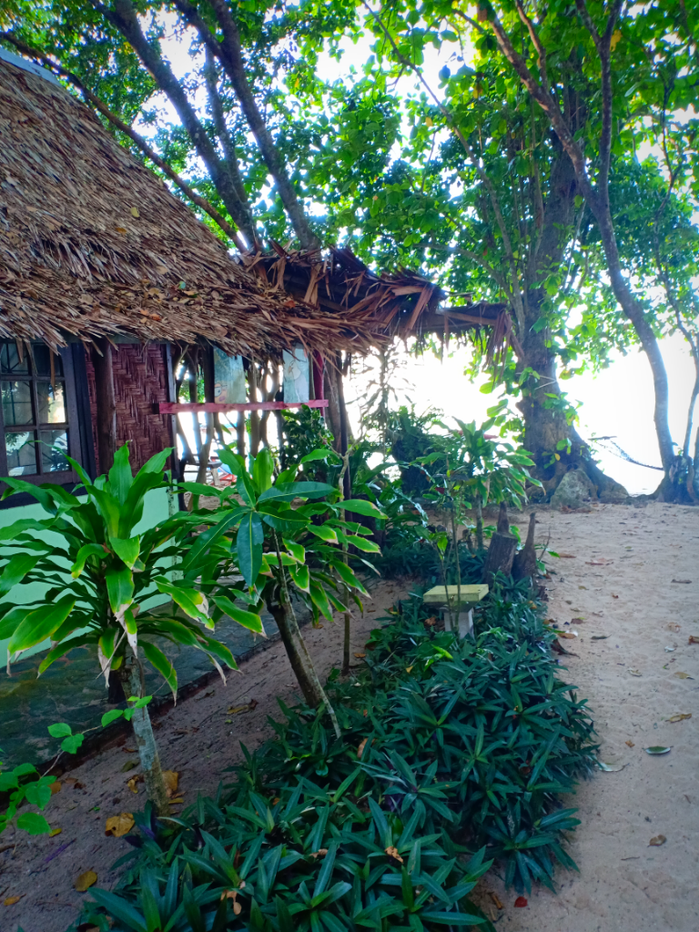 Backpacker Couple Penang - Krabi (PhiPhi Island)