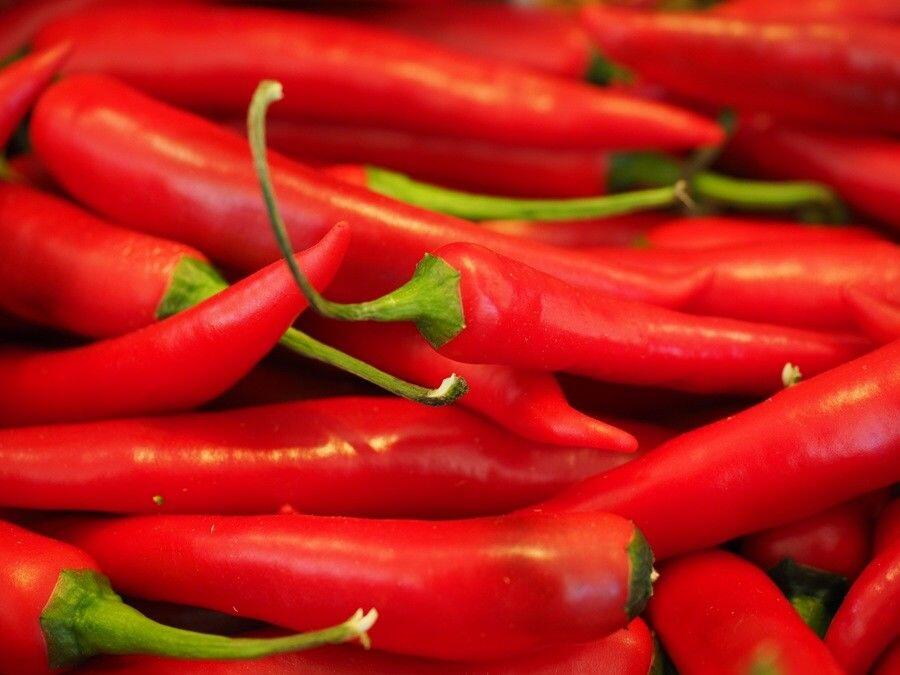 Ambeien? Hindarkan Dirimu dari Penyakit Hemorrhoids dengan 5 Cara Ini!