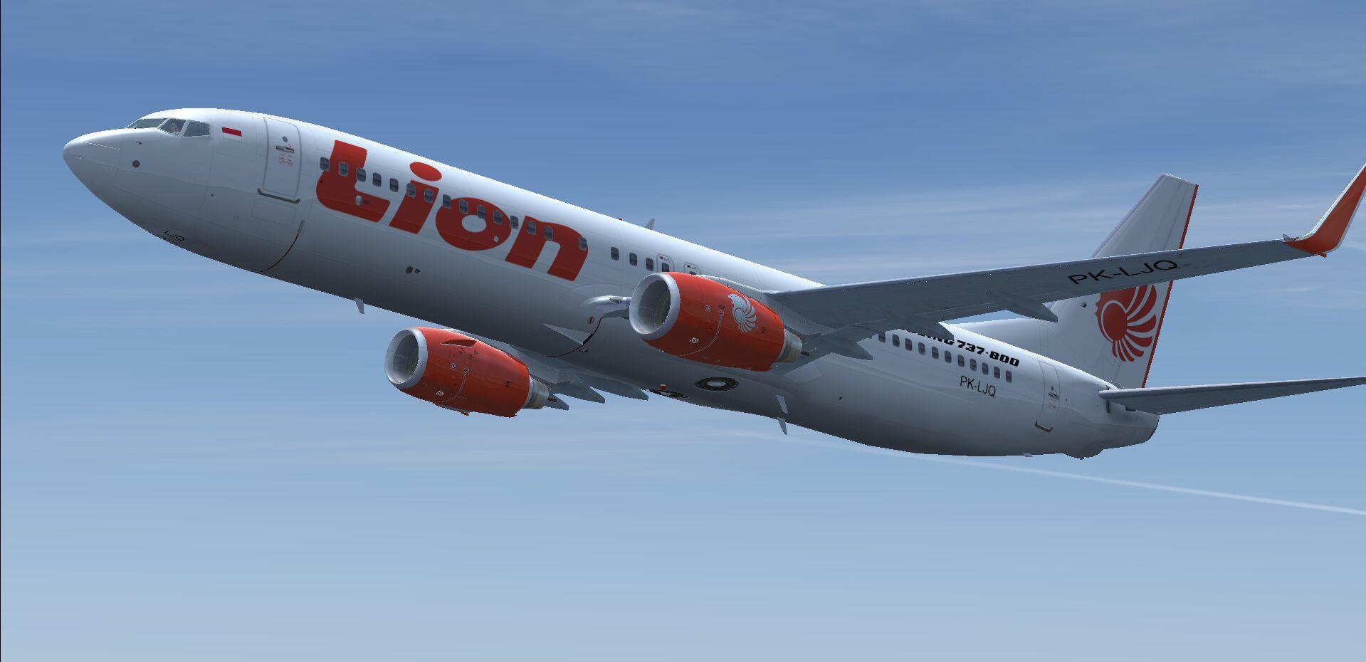 Ini 5 Tragedi Mengerikan Pesawat Lion Air