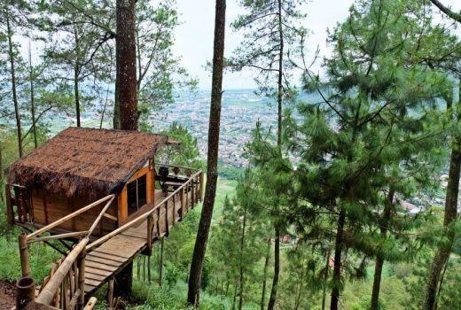 Kreatif! 5 Penginapan Berkonsep Unik dan Menarik di Sekitaran Malang