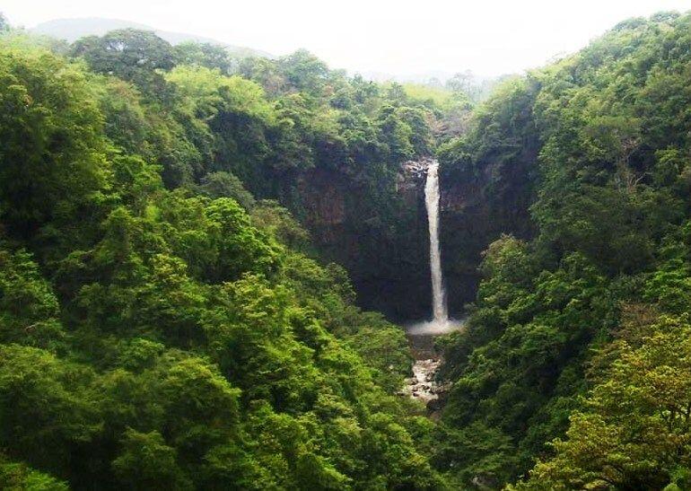 5 Kawasan Pelestarian Alam yang Jadi Spot Rekreasi Terpopuler di Jatim