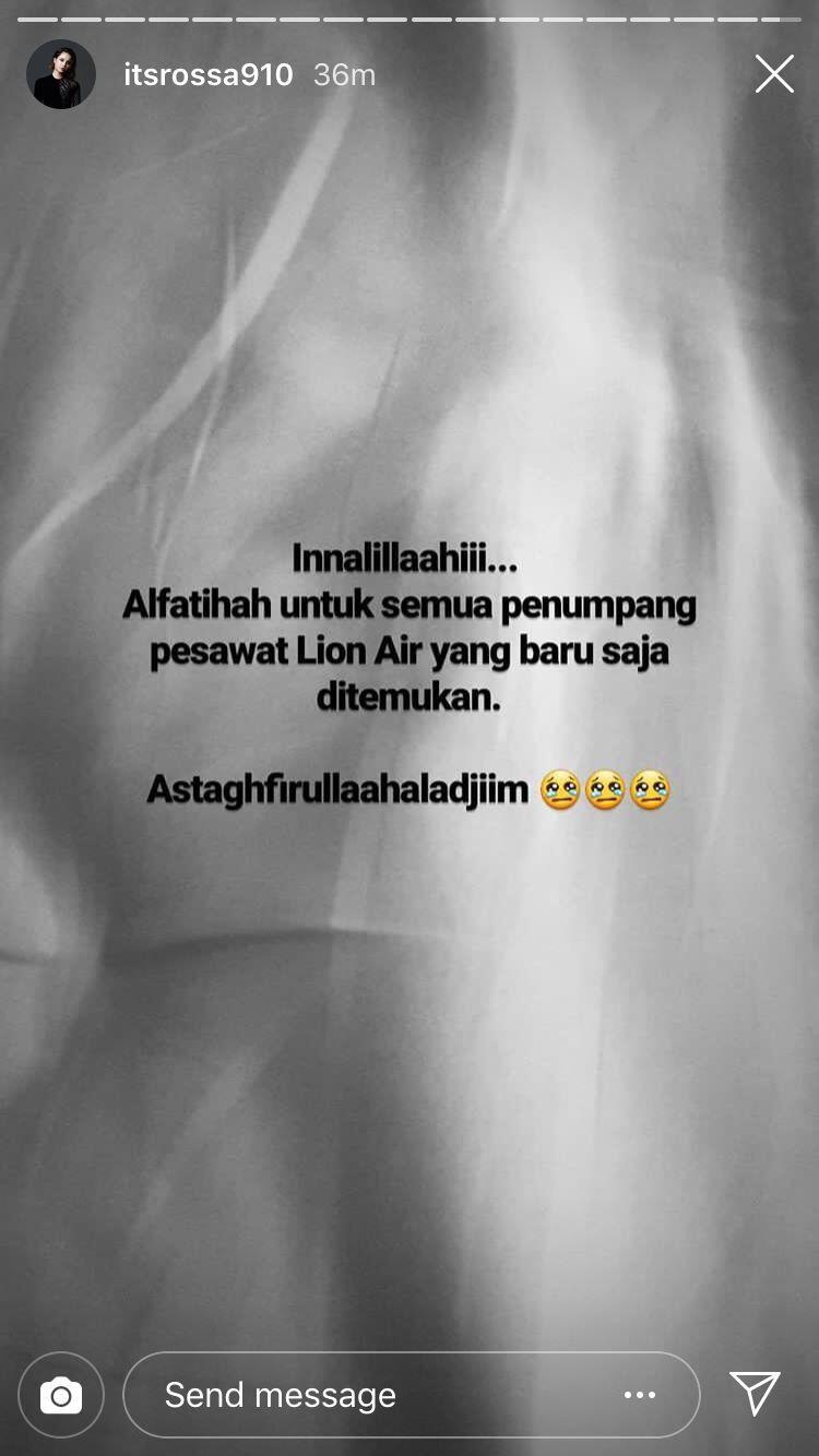 Para Artis Ungkapkan Belasungkawa atas Jatuhnya Pesawat Lion Air JT610