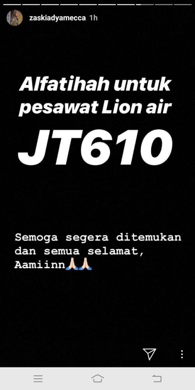 Para Artis Ungkapkan Belasungkawa atas Jatuhnya Pesawat Lion Air JT610