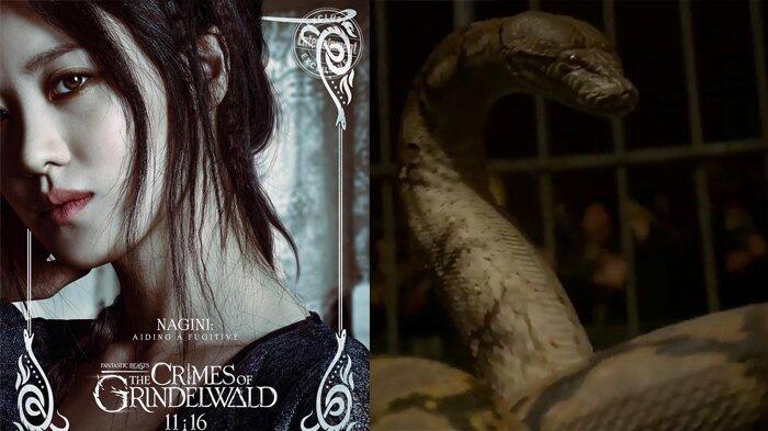 Perankan Nagini, Ternyata Claudia Kim Aslinya Takut Ular Lho!