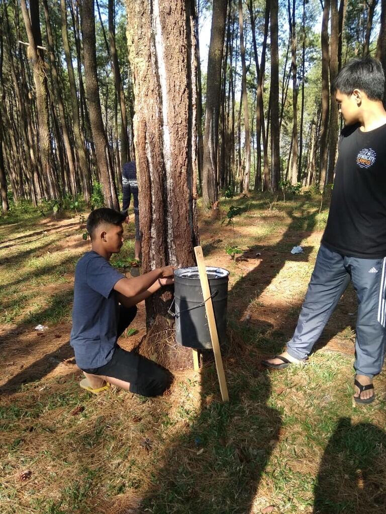 Mencintai Alam Sebagai Bukti Cinta Tanah Air Indonesia #SumpahPemudaVersiGue