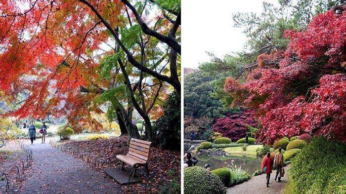Penjaga Pintu Masuk Taman di Jepang Gratiskan Tiket Bagi Wisman