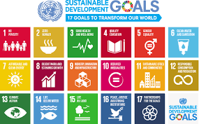 Kemenkominfo dan KSP Komunikasikan Percepatan SDGs di Kalbar