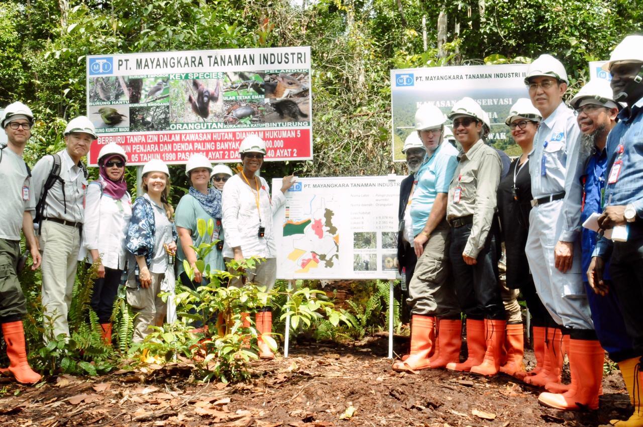 Pemerintah Kongo Belajar Pengelolaan Gambut Indonesia