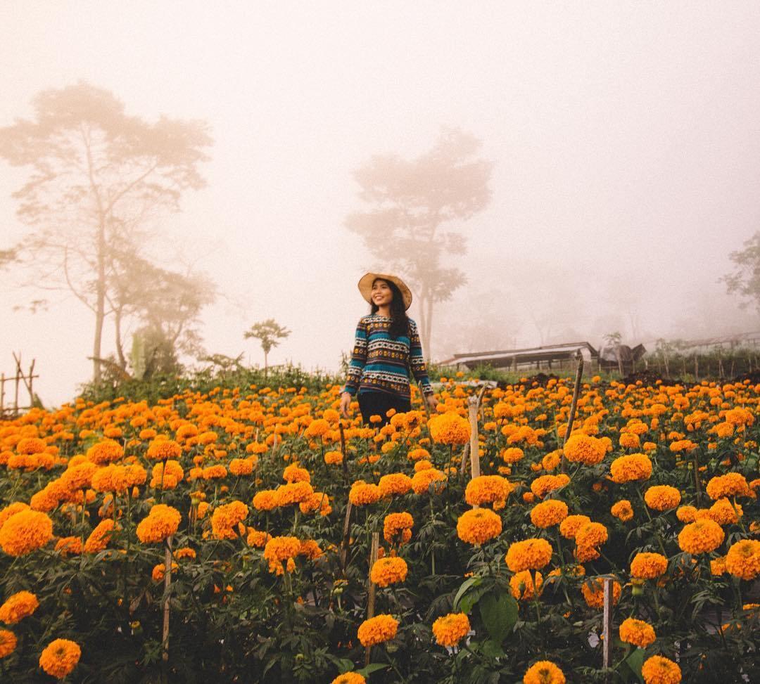 Tempat Paling Romantis di Muka Bumi Untuk Melamar Si Doi