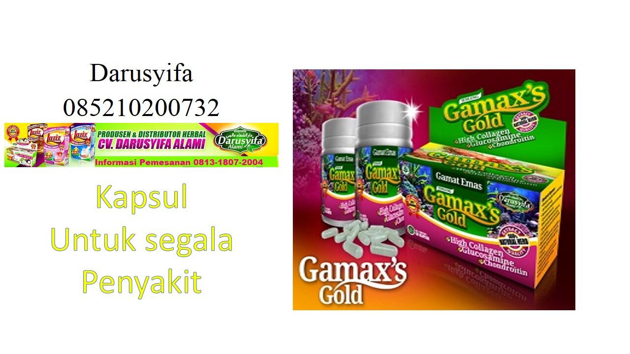 Grosir Obat Mengobati Segala Penyakit Kapsul Extra Gamat Emas Darusyifa