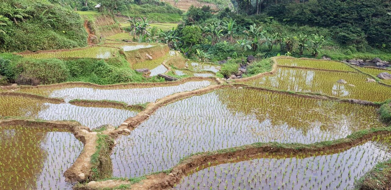 Wisata Renyung - Destinasi tersembunyi Pamijahan - Bogor, Jawa Barat