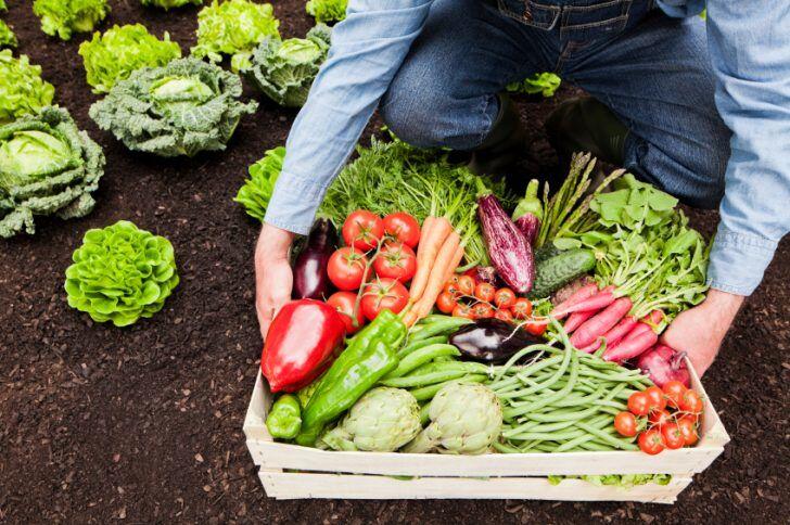 Kenapa Sarapan Bikin Ngantuk? Ini 8 Alasannya yang Perlu Kamu Ketahui