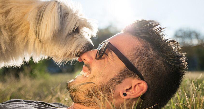 Anjing Sangat Bersahabat dengan Manusia dengan Alasan Ilmiah yang Kuat