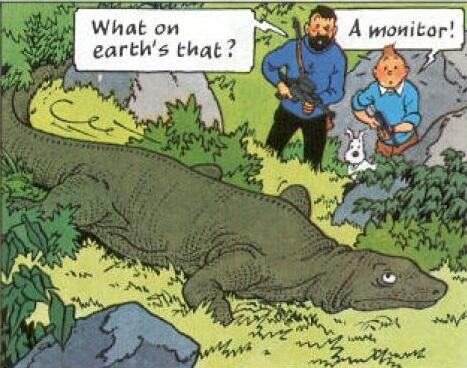 Fakta Menarik tentang Petualangan Tintin