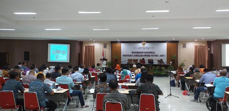 Pemerintah Waspadai Penyebaran Penyakit African Swine Fever