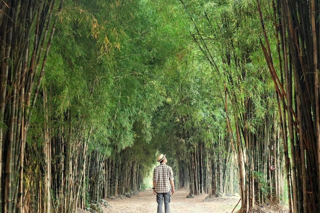 6 Spot Foto di Surabaya yang Instagramable Banget, Sudah Coba?