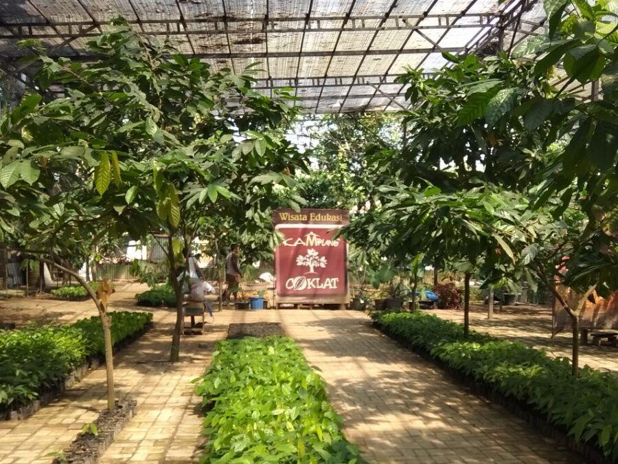 4 Hal Seru Ini Bisa Kamu Lakukan di 'Kampung Cokelat' Blitar