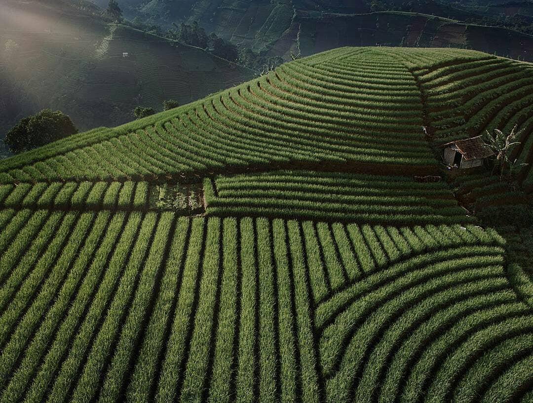 Dulu Diabaikan, Kini 10 Sawah Ini Jadi Spot Foto Instagramable Lho