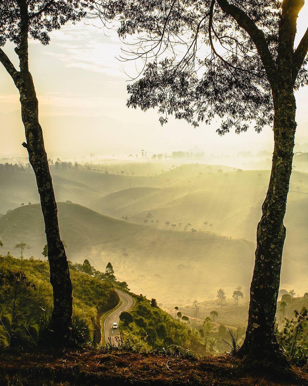 Dulu Diabaikan, Kini 10 Sawah Ini Jadi Spot Foto Instagramable Lho