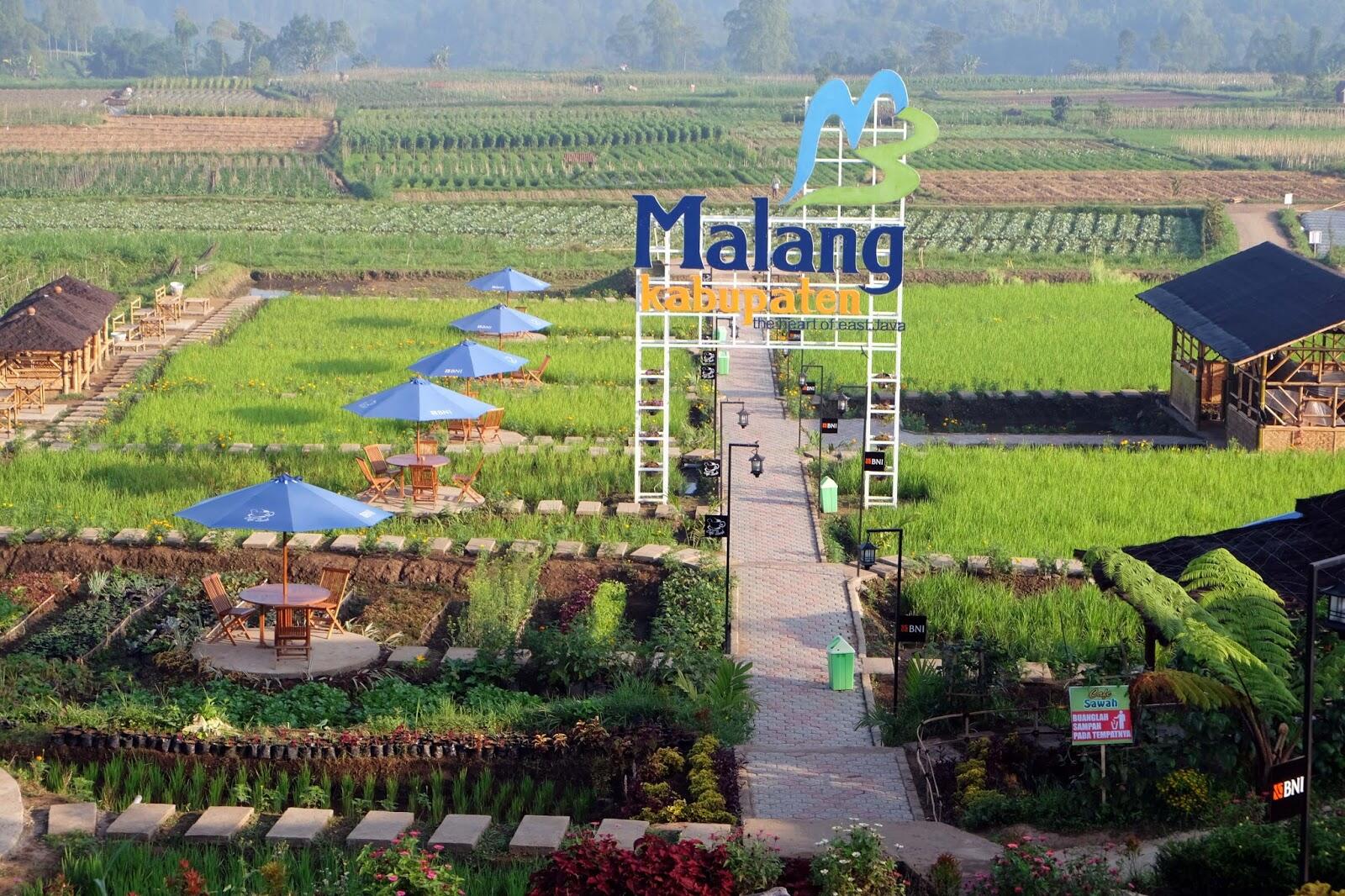 Dulu Diabaikan, Kini 10 Sawah Ini Jadi Spot Foto Instagramable Lho