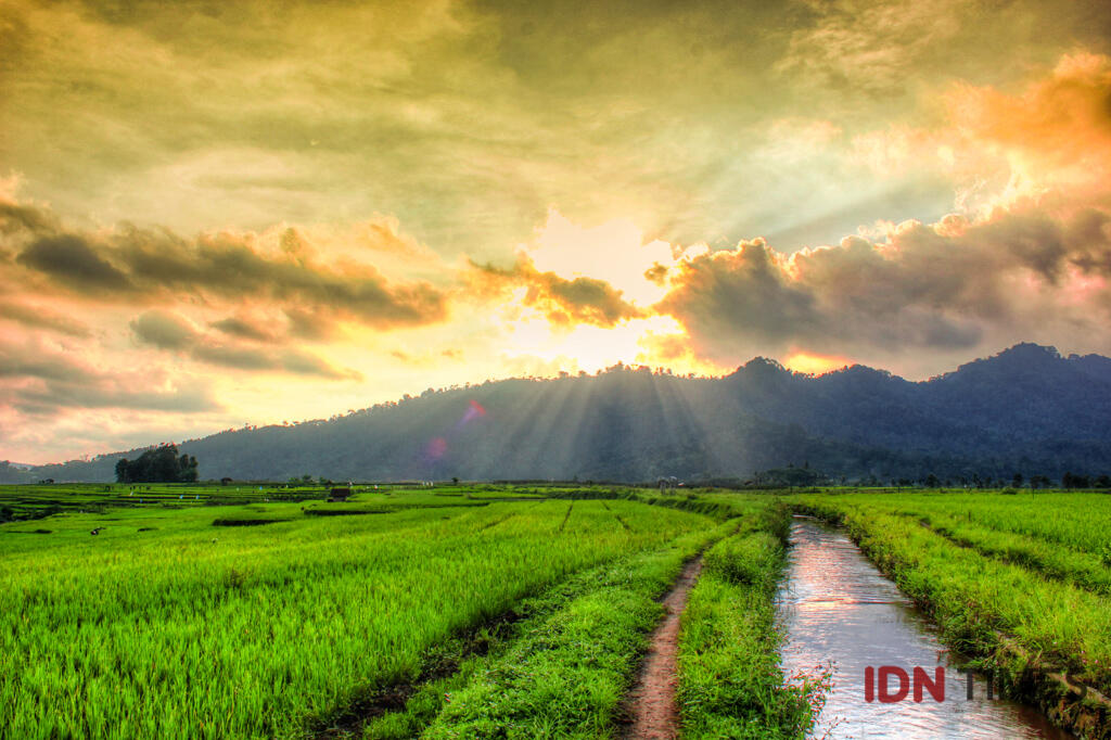 Dulu Diabaikan, Kini 10 Sawah Ini Jadi Spot Foto Instagramable Lho