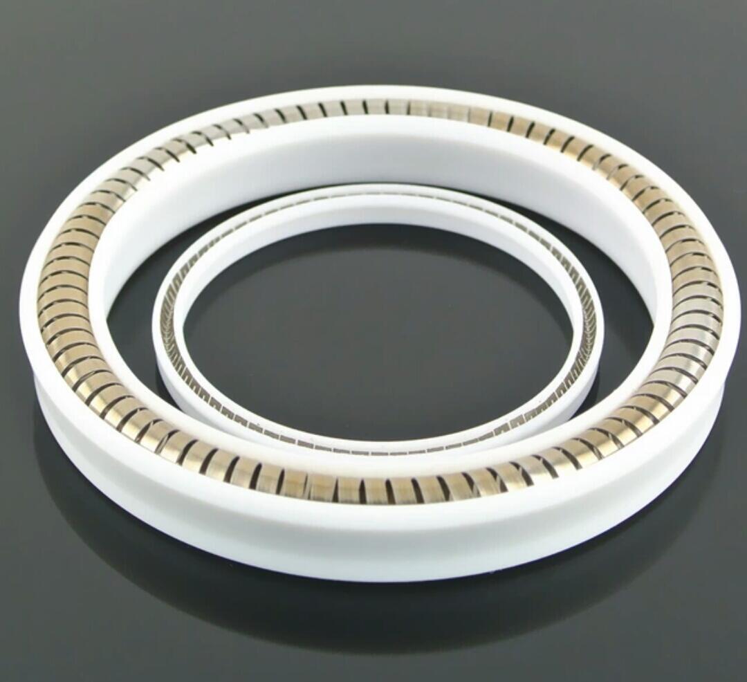 Packing Spring Garter Spring Untuk Kompresor, Cryo Pendingin, Pompa Kimia Dll