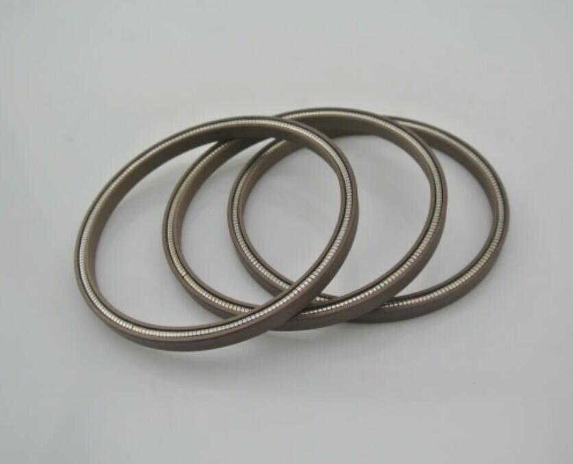 Packing Spring Garter Spring Untuk Kompresor, Cryo Pendingin, Pompa Kimia Dll