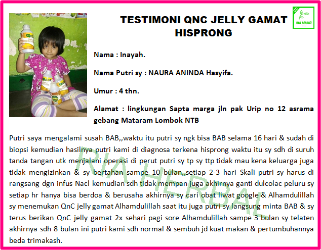 TESTIMONI QNC JELLY GAMAT SEMBUHKAN HISPRONG