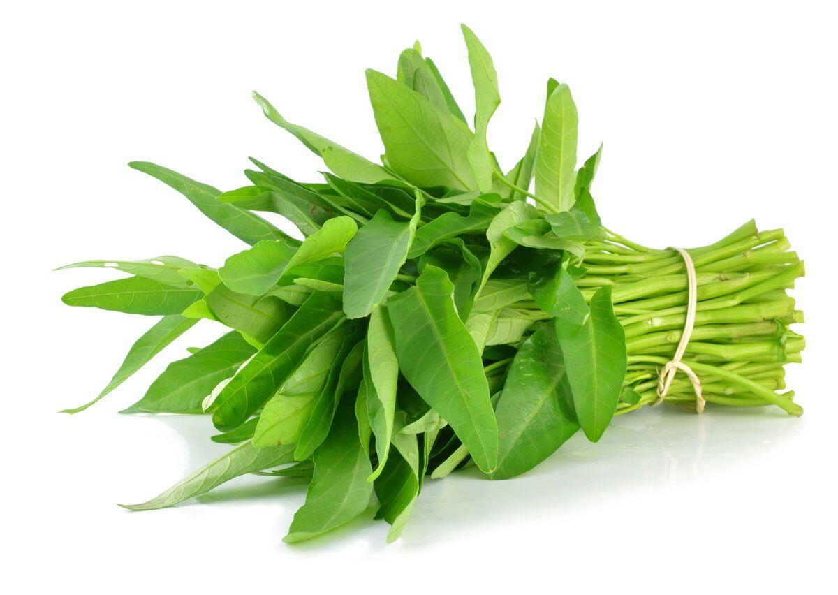 Konsumsi Kangkung dan Rasakan Manfaatnya