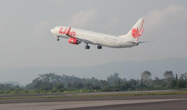 Lion Air Diminta Tak Mencicil Asuransi Korban