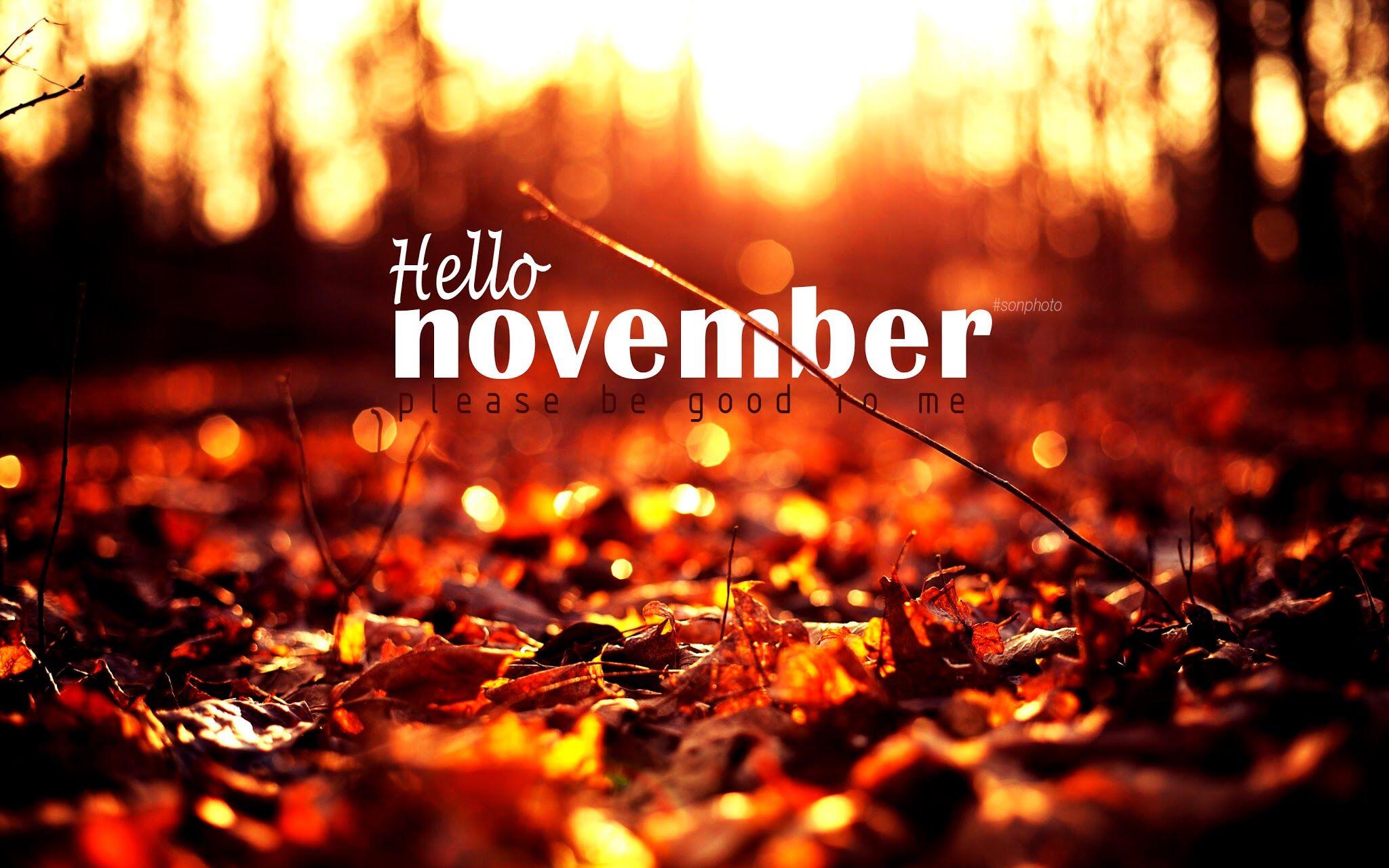 Disebut Bulan Kematian, Ini 11 Fakta Unik Tentang Bulan November!
