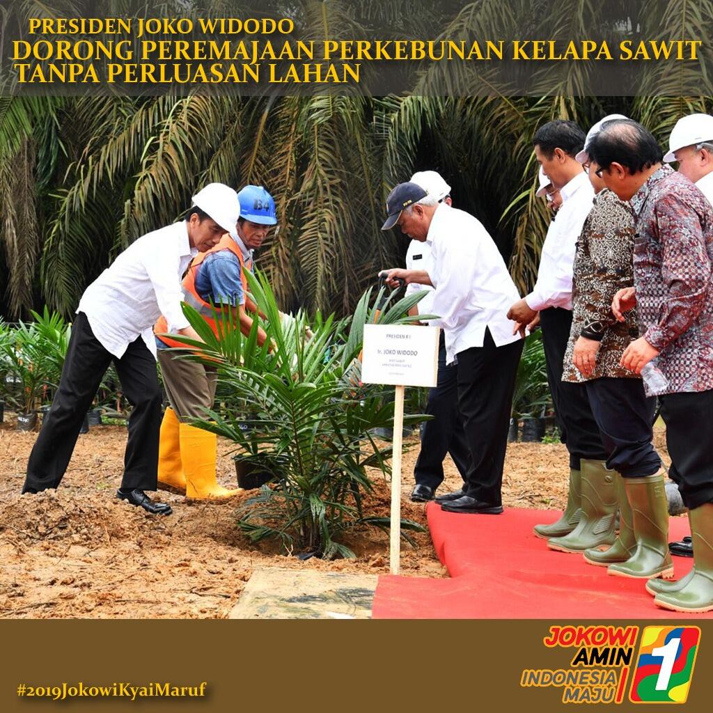 Presiden Jokowi minta industri sawit genjot ekspor dengan proses hilirisasi