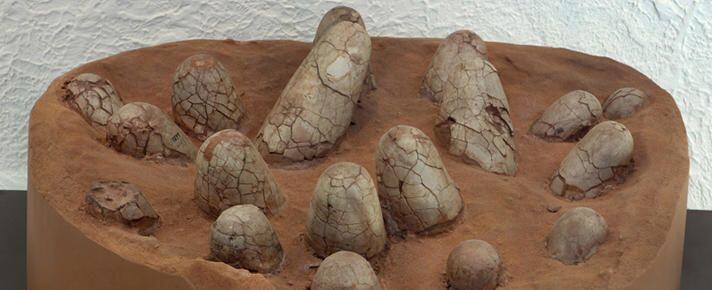 Telur Dinosaurus Ternyata Berwarna-warni seperti Burung! Ini Kata Ahli